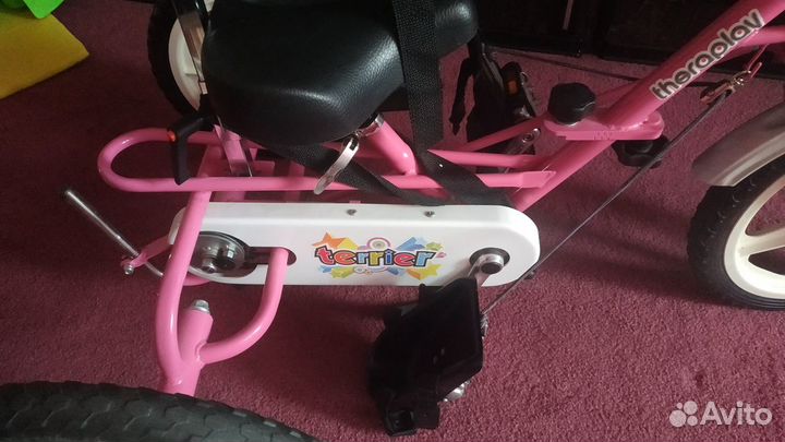 Велосипед для детей с дцп Theraplay Terrier