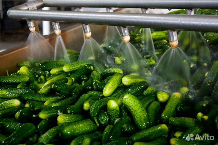 Разнорабочий на производство