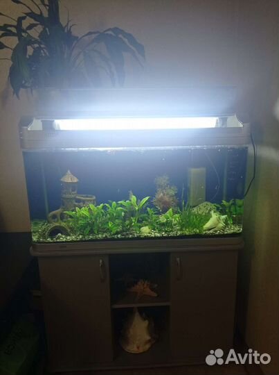 Аквариум с тумбой бу