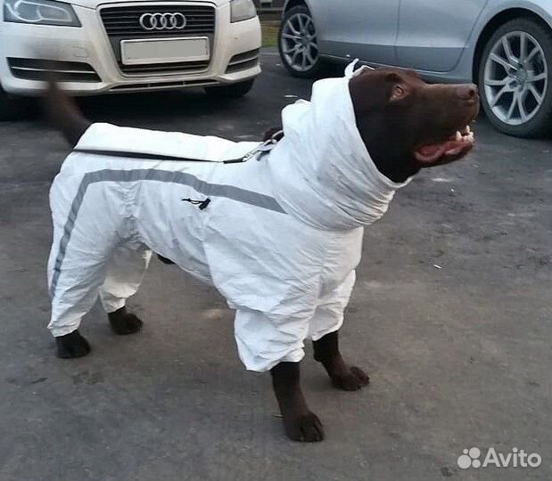 Комбинезон для собак (Унисекс)