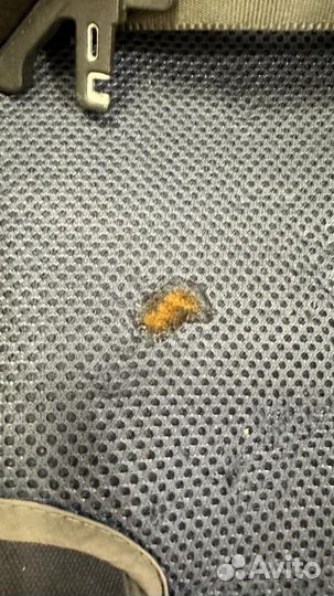 Автокресло baby care