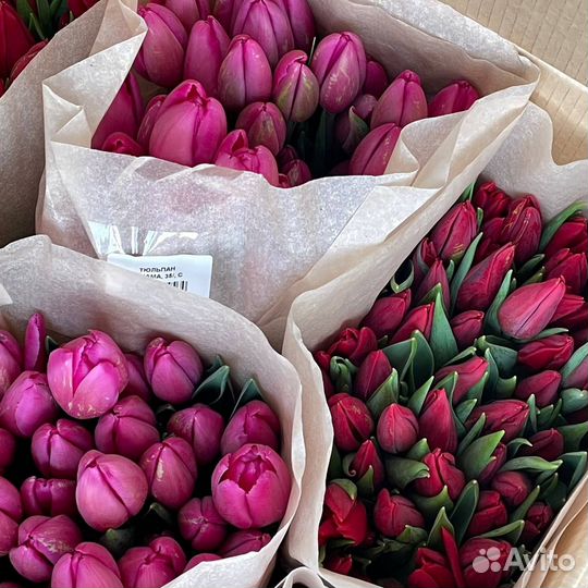 Тюльпаны на 8 марта