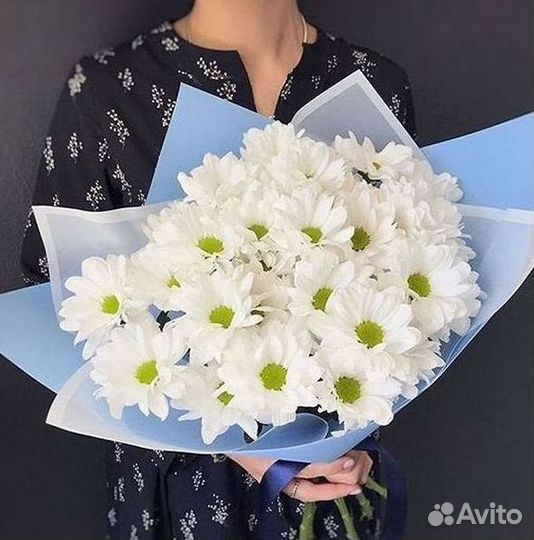 Хризантема Доставка цветов