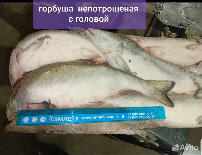Свежемороженная рыба и морепродукты