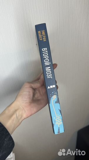 Второй мозг