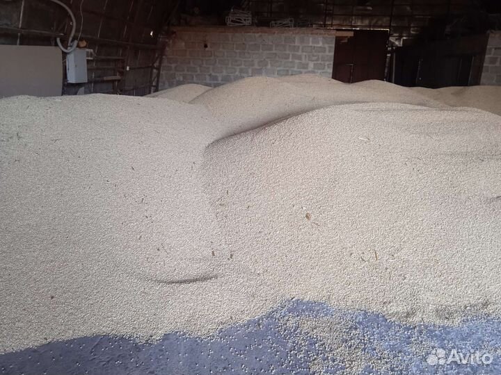 Белая кукуруза