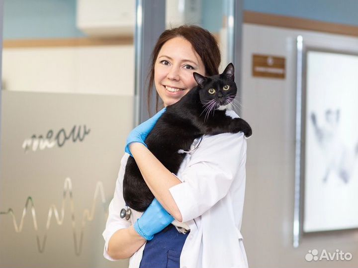 Врач-ветеринар. Круглосуточный выезд на дом