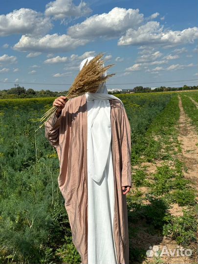 Абая летучка дубай