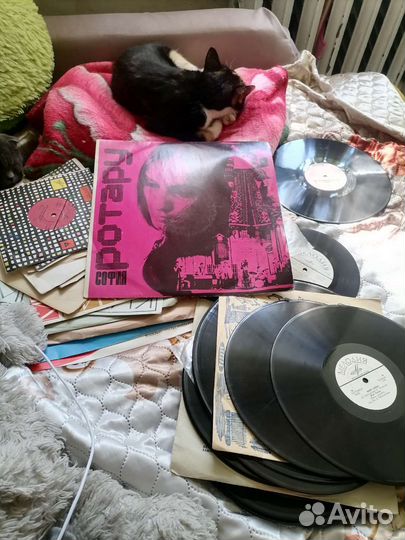 Виниловые пластинки