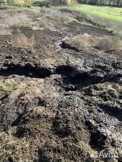 Отдам Навоз крс бесплатно