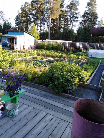 Дача 36 м² на участке 12 сот.