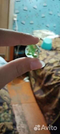 Красивый камень для коллекции