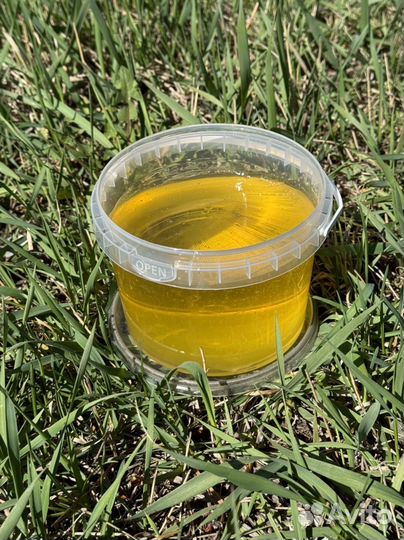 Оптом мед свежий 2024 с Алтая