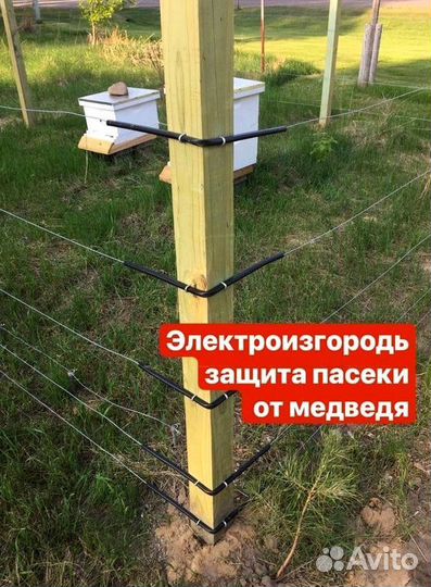 Электроизгородь. Защита пасеки