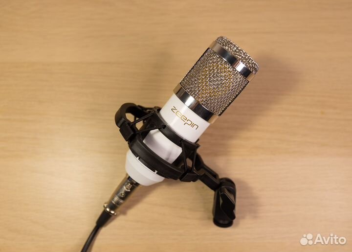 Микрофон Zeepin BM-800