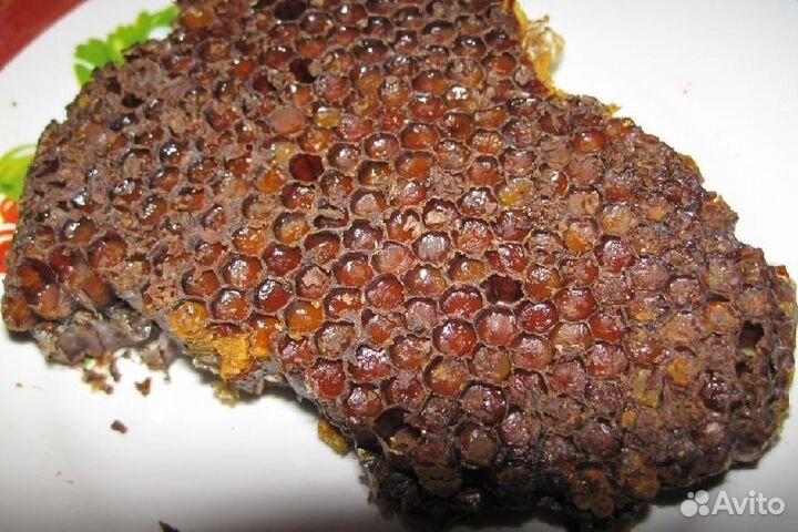 Прополис, вощина,подмор пчел