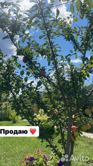 Продается дача