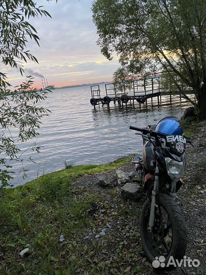 Райсер нитро 250