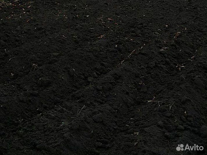 Чернозем из рязани