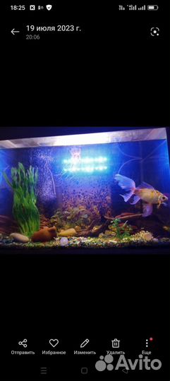 Аквариум с тумбой 130 литров