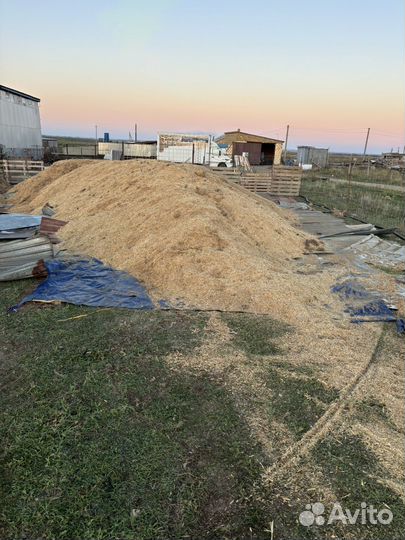 Зерноотходы пшеничные