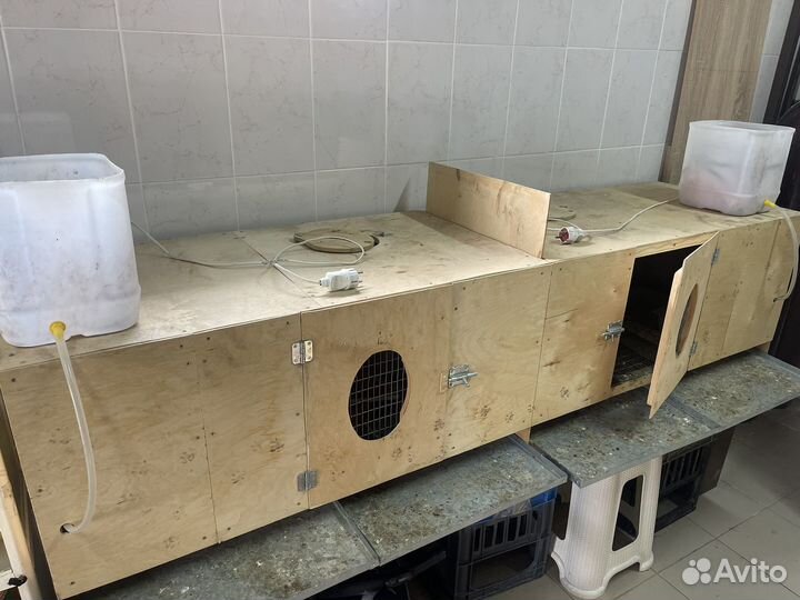 Продается брудер б/у