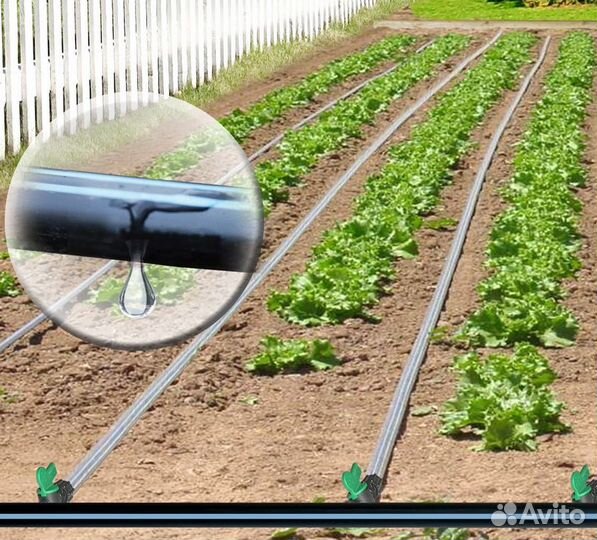 Лента капельного полива