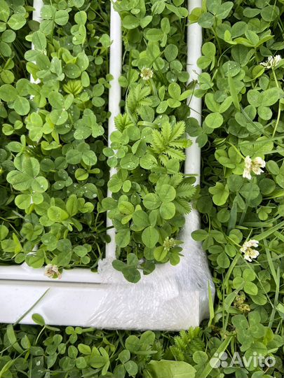 Ворота на летсницу для безопасности