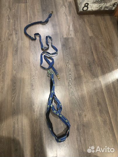 Шлейка для собаки