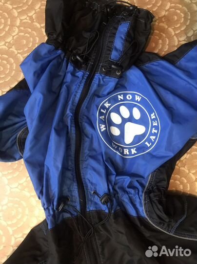 Одежда для средних собак