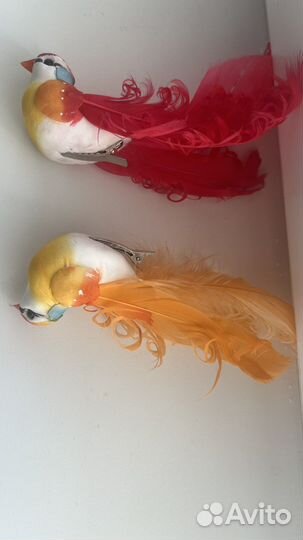 Птички декоративные