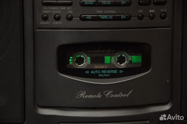 Panasonic RX-DS303