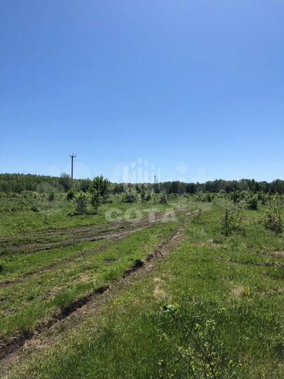 Участок 15 сот. (СНТ, ДНП)