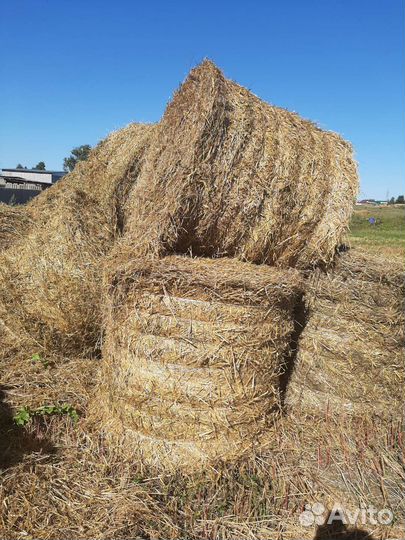 Сено солома в тюках