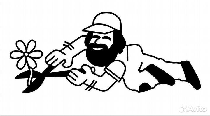 Иллюстратор