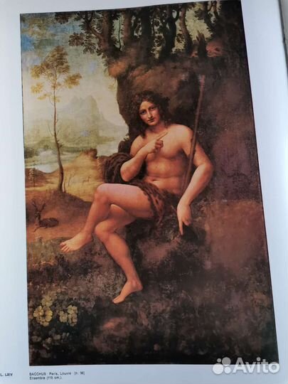 Книга альбом Ленардо да Винчи