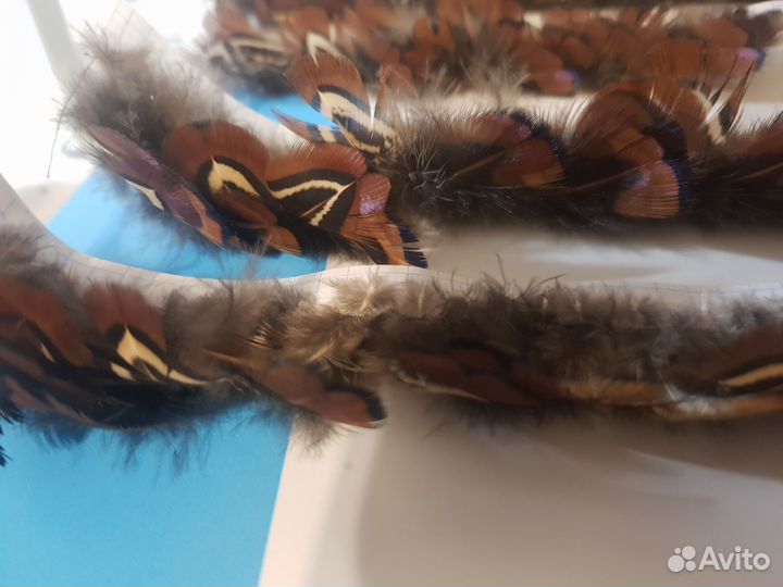 Перья фазана