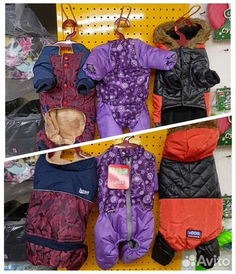 Одежда для собак