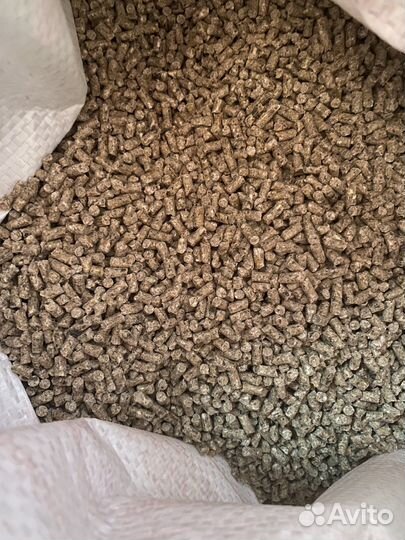 Комбикорм Пурина для яичной птицы Предкладка