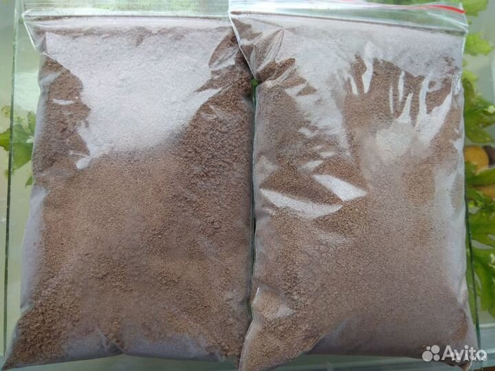 Цисты (яйца) Артемии