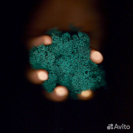 Стабилизированный мох, Тёмно-зелёный