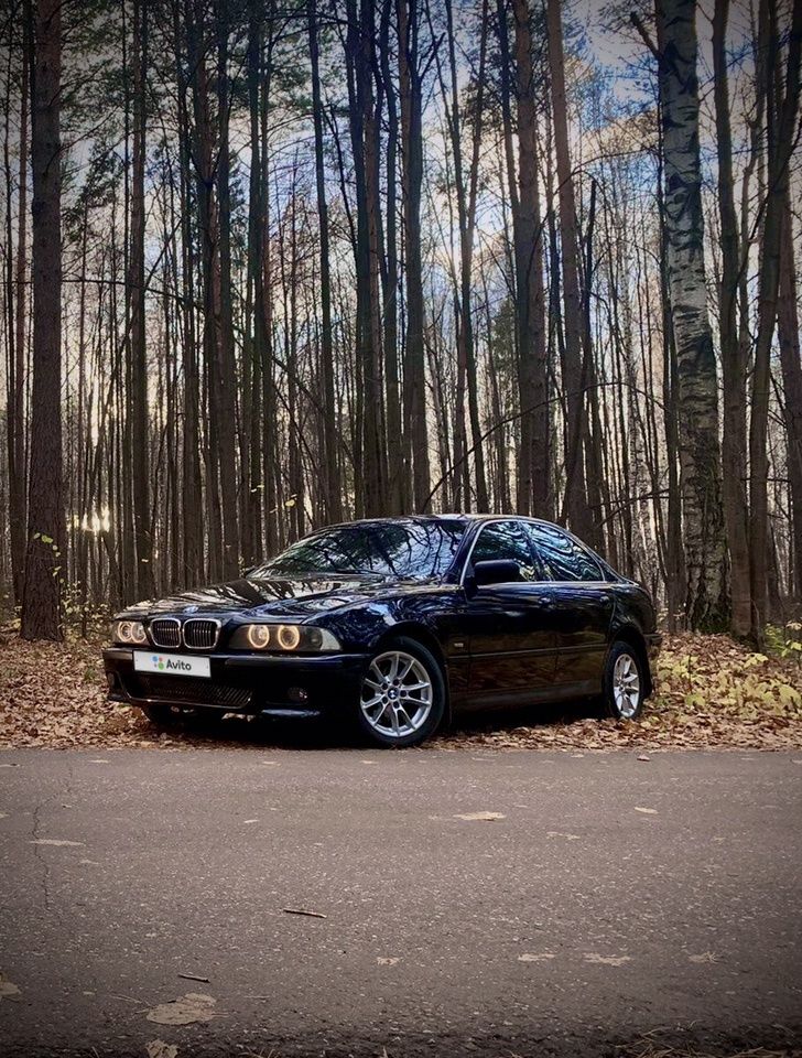 BMW 5 серия: фото владельца