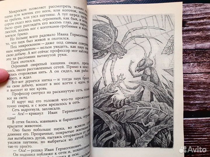 Ян Ларри. Необыкновенные приключения Карика и Вали