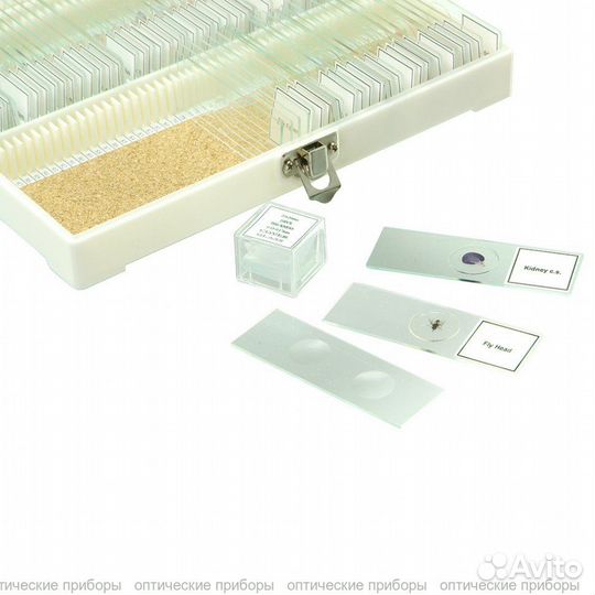 Набор готовых микропрепаратов Микромед №80