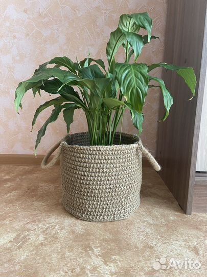 Кашпо, корзина из джута