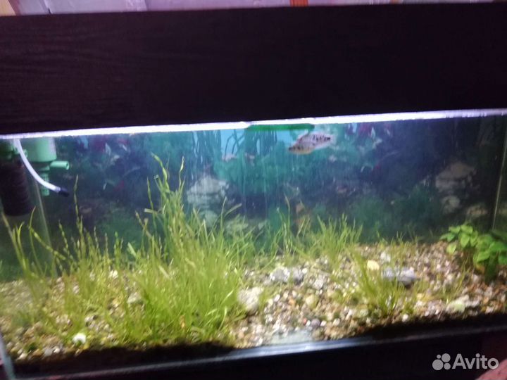 Аквариум с тумбой