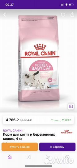 Корм для беременных кошек и котят