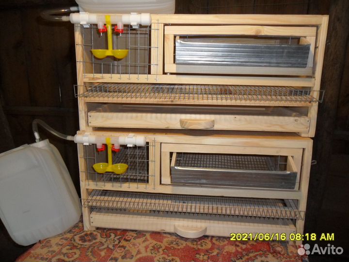 Клетки для перепелов