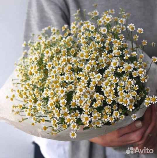 Букет из матрикарии