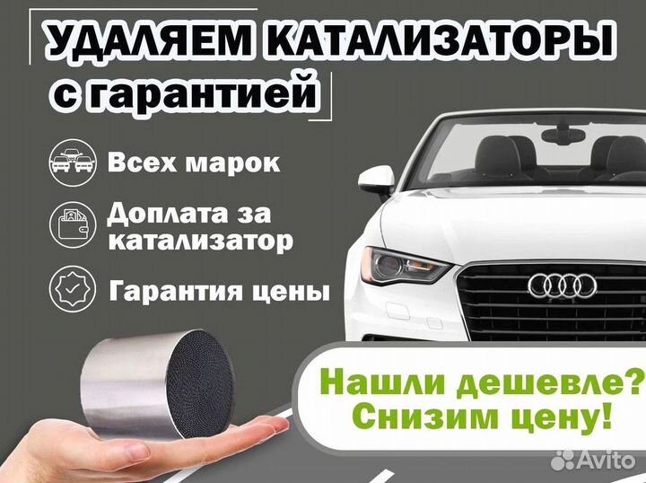 Удаление катализатора бесплатно на Audi